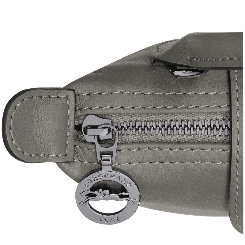 Longchamp | Le Pliage Xtra XS Pouch Turtledove - Leather | Turtledove